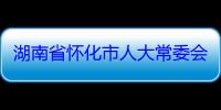 湖南省怀化市人大常委会原副主任杨一中严重违纪违法被开除党籍